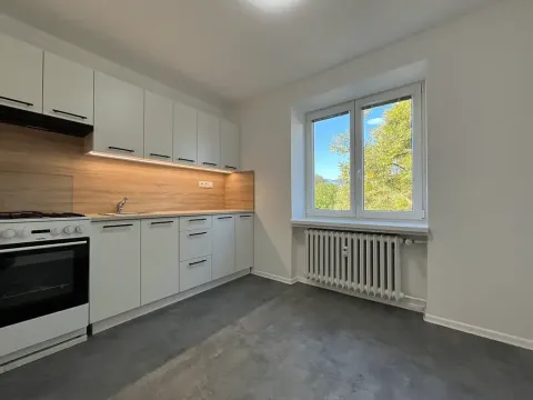 Pronájem bytu 1+1, Třinec, 17. listopadu, 28 m2
