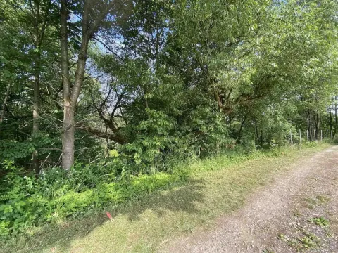 Prodej pozemku, Nové Hrady - Nakolice, 974 m2