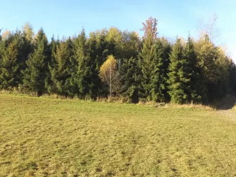 Prodej pozemku, Budišov nad Budišovkou, 60778 m2