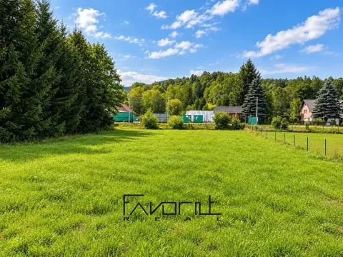 Prodej pozemku pro bydlení, Bělá pod Pradědem, 1166 m2