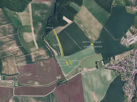 Prodej pole, Klobouky u Brna, 7163 m2