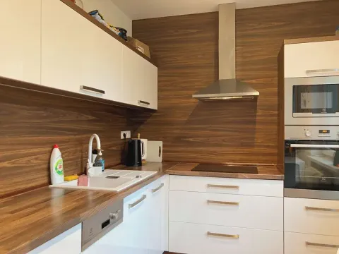 Pronájem bytu 2+1, Ostrava, Čkalovova, 54 m2