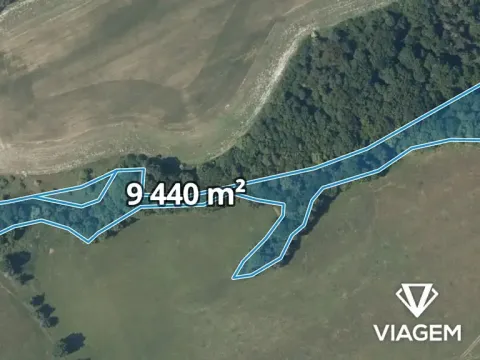 Prodej lesa, Nižbor, 9440 m2
