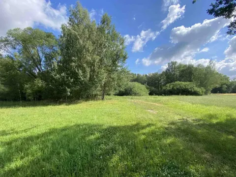 Prodej louky, Trhové Sviny - Otěvěk, 10951 m2