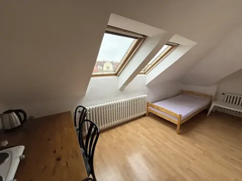 Pronájem bytu 1+kk, Praha - Dejvice, Na Hanspaulce, 22 m2