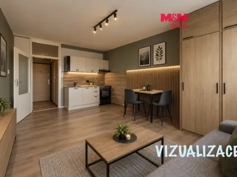 Prodej bytu 1+kk, Karlovy Vary - Rybáře, U Koupaliště, 24 m2