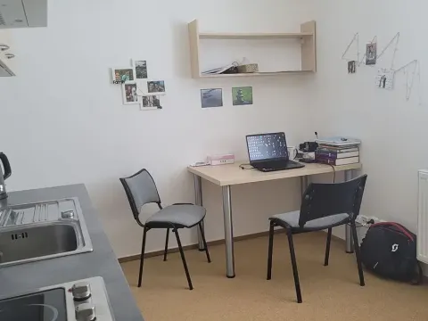 Pronájem bytu 1+kk, Brno, Vídeňská, 30 m2