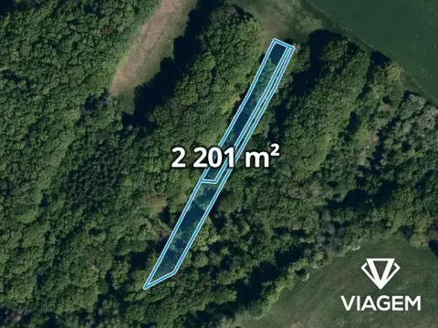 Prodej podílu lesa, Velký Ořechov, 1100 m2