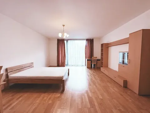 Pronájem bytu 1+kk, Praha - Žižkov, Malešická, 53 m2