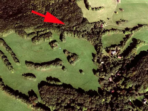 Prodej lesa, Stvolínky, 2465 m2