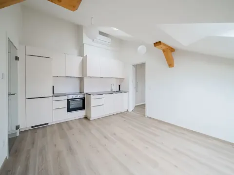Pronájem bytu 2+kk, Praha - Nové Město, Václavské náměstí, 43 m2