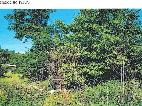 Prodej lesa, Chotěboř, 86 m2