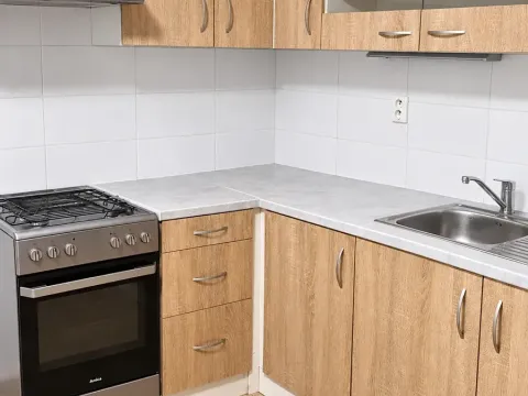 Prodej bytu 1+1, Ústí nad Labem, Nová, 36 m2