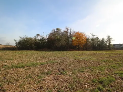 Prodej pozemku, Dolní Břežany, Keltská, 3508 m2