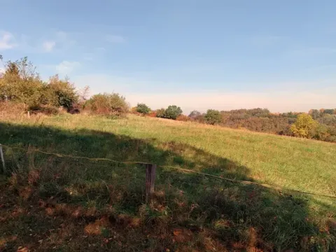 Prodej lesa, Kouřim, 87548 m2