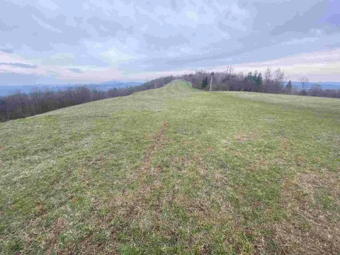 Prodej pole, Mírová pod Kozákovem - Vesec, 14714 m2