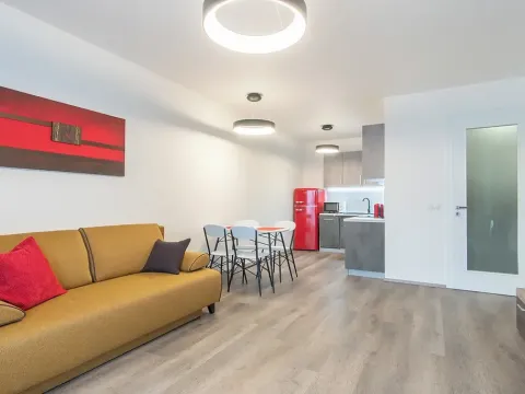 Pronájem bytu 2+kk, Praha - Karlín, Nekvasilova, 67 m2
