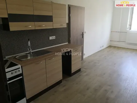 Pronájem bytu 2+kk, Chodov, Školní, 46 m2