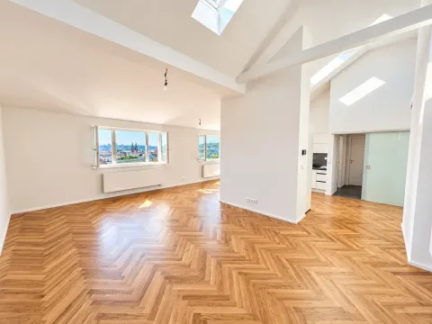 Pronájem bytu 2+kk, Praha - Smíchov, Holečkova, 93 m2