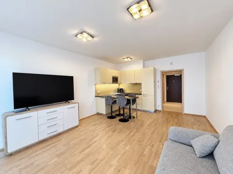 Pronájem bytu 1+kk, Praha - Žižkov, Olšanská, 37 m2