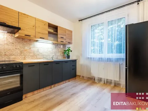 Pronájem bytu 1+1, Olomouc, Družební, 36 m2