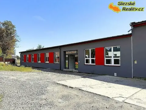 Pronájem komerční nemovitosti, Ostrava, 400 m2