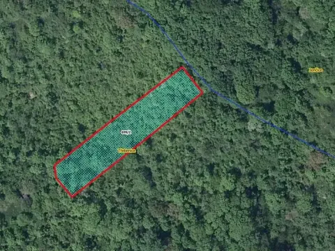 Prodej lesa, Třebenice, 1475 m2