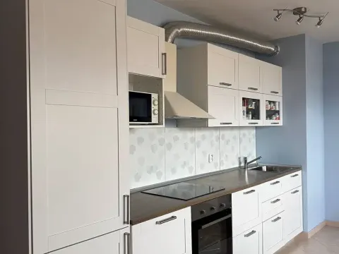Pronájem bytu 2+kk, Praha - Horní Měcholupy, Modenská, 54 m2