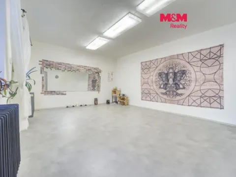 Pronájem obchodního prostoru, Plzeň - Vnitřní Město, Veleslavínova, 95 m2