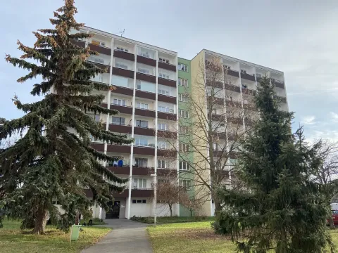 Pronájem bytu 2+1, Mladá Boleslav - Mladá Boleslav II, Palackého, 55 m2