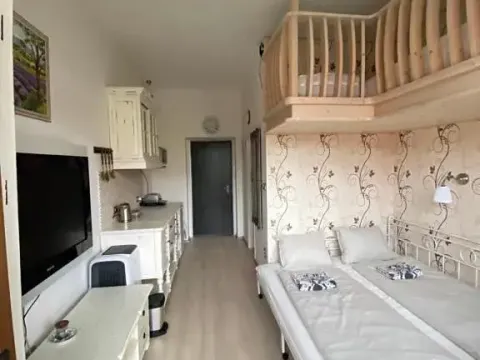 Pronájem bytu 1+kk, Slapy, 31 m2