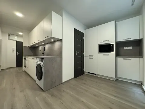 Pronájem bytu 1+1, Olomouc, Foerstrova, 44 m2