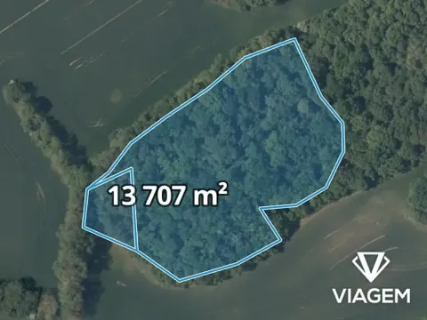 Prodej lesa, Vysoký Újezd, 13707 m2