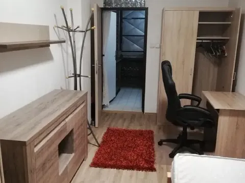 Pronájem bytu 1+1, Brno, V aleji, 40 m2