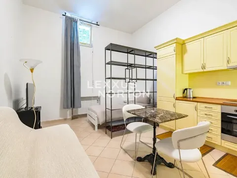 Pronájem bytu 1+kk, Praha - Vinohrady, Italská, 41 m2