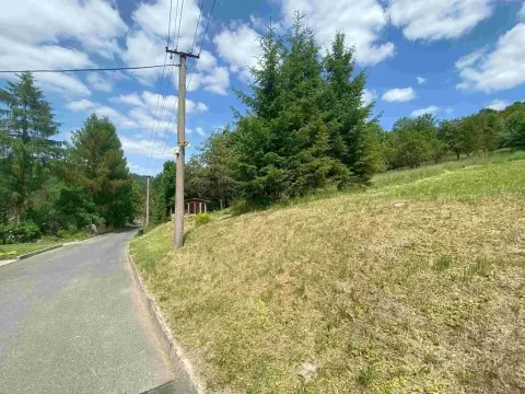 Dražba louky, Nedašova Lhota, 2790 m2