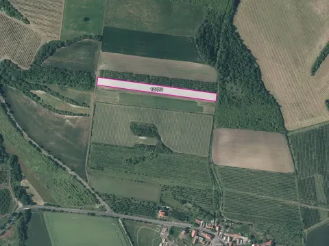 Prodej sadu/vinice, Želkovice, 16344 m2