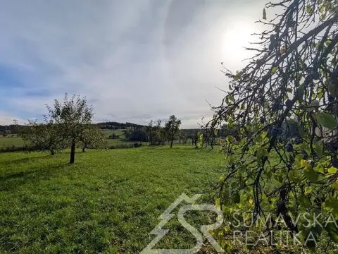 Prodej pozemku, Volenice, 1966 m2