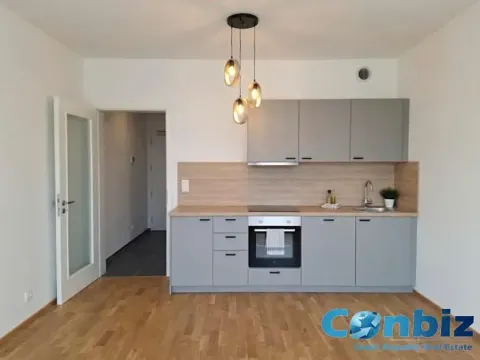 Pronájem bytu 1+kk, Praha - Karlín, Švarcova, 31 m2