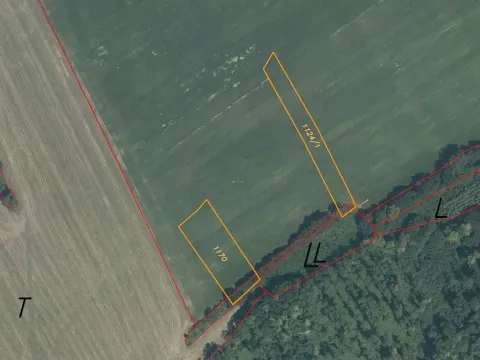 Dražba louky, Kelč, 11741 m2